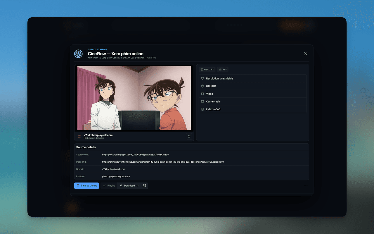 Stream Katcher Media details screenshot